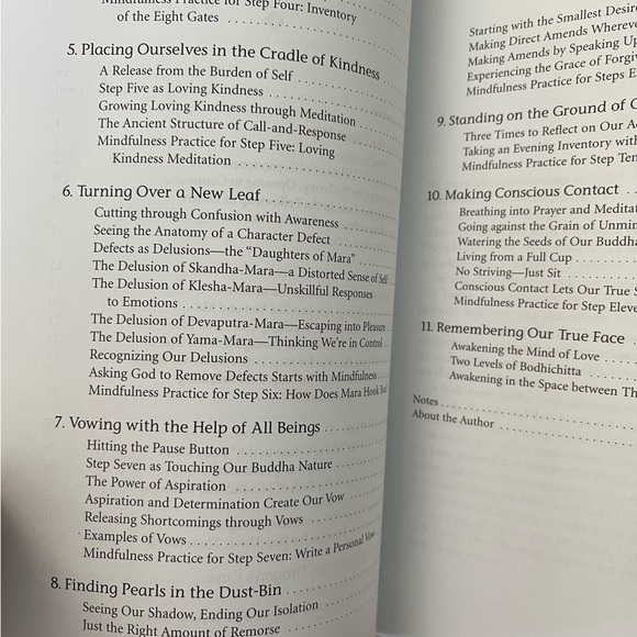 Mindfulness and the 12 Steps : Living Recovery in the Present Moment by Thérèse - Picture 6 of 14